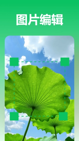 极光录音转文字最新版图4