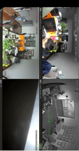 iSVMS手机正版图4