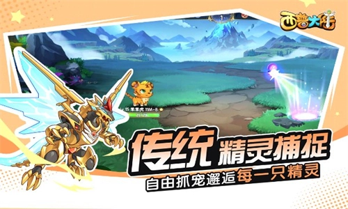 西普大陆游戏(5)