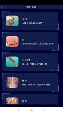3D人体解剖图谱图2