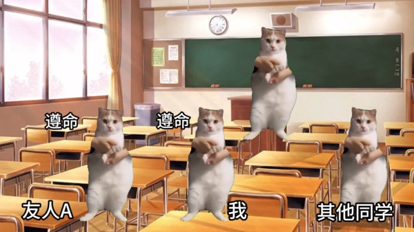 猫猫惊魂夜正版