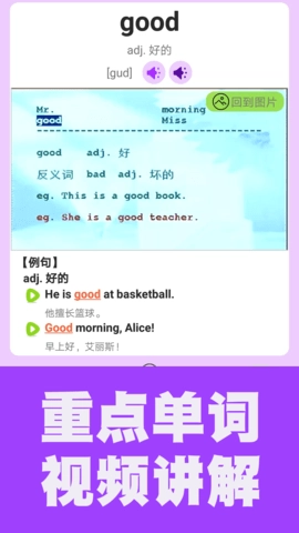 初中英语单词通正版图3
