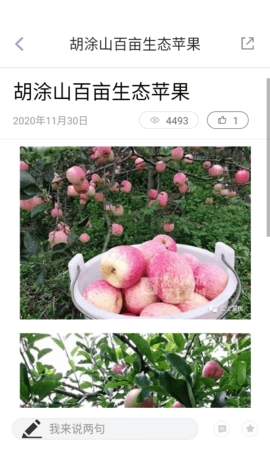 富民融媒安卓版图4