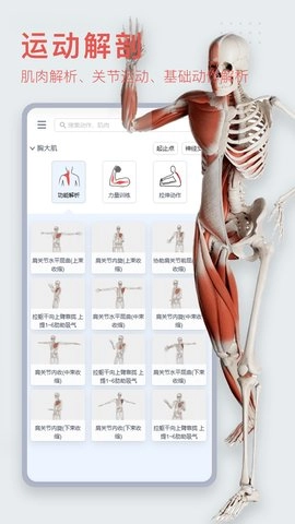 3DBody解剖图2