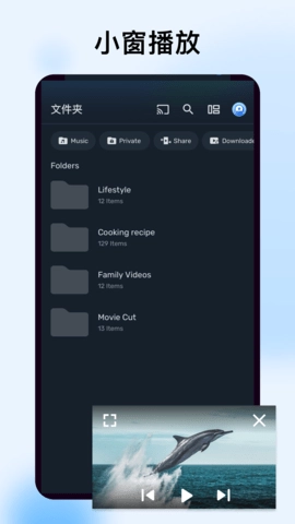 MX播放器专业版截图3