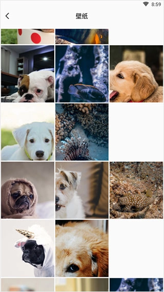 可立拍相机软件图4