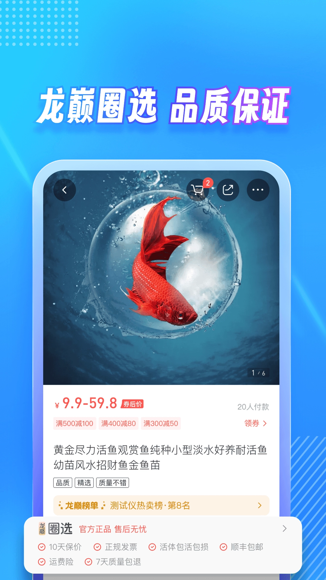 龙巅图5