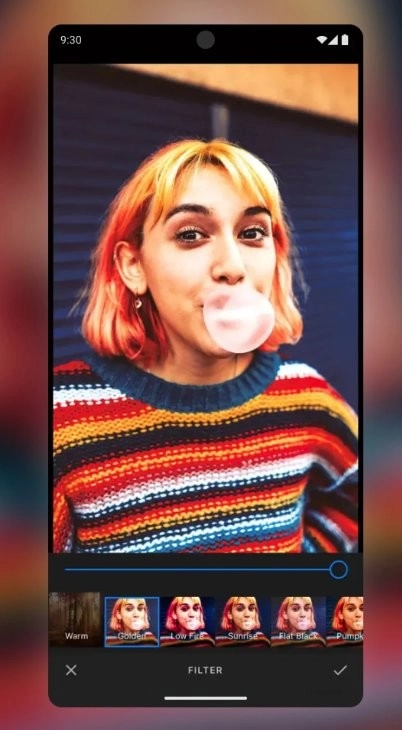 宝丽来HiPrint图4