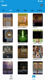 飞鸟模拟器官方正版图2