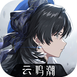 云鸣潮手游直装版
