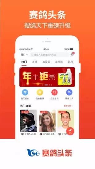 赛鸽头条图4