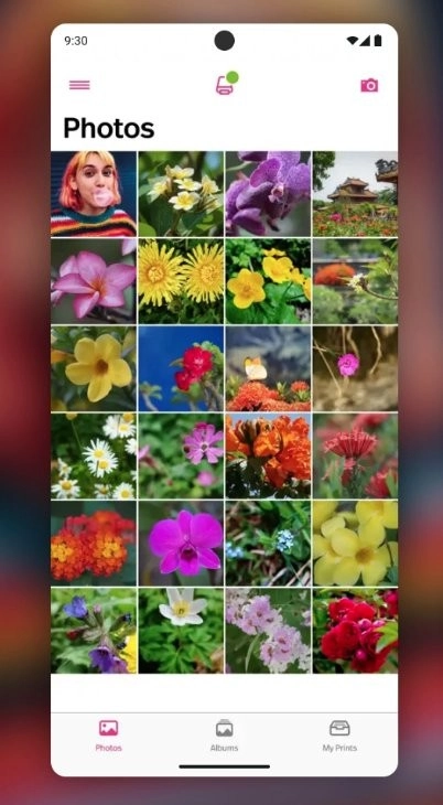 宝丽来HiPrint图3