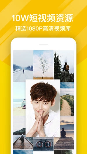 熊猫动态壁纸主题图3