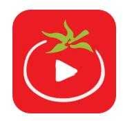 番茄影视大全2026