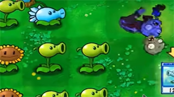 植物大战僵尸抽卡版4