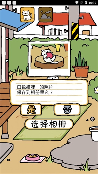猫咪后院图3