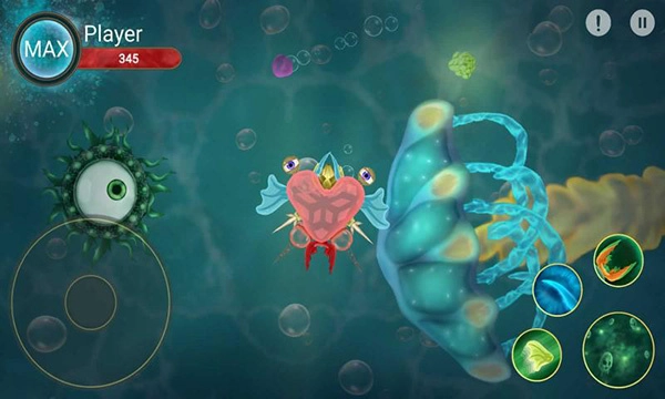 微生物世界图4