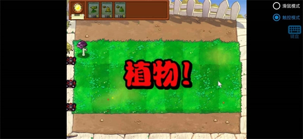 植物大战僵尸胆小菇之梦(2)