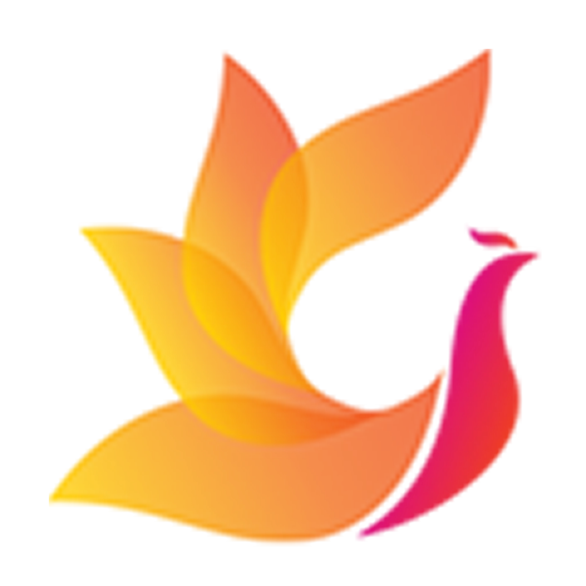 影视工厂2026最新版