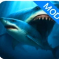 鲨鱼王国游戏