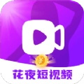 花夜安卓版