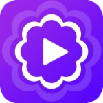 汀兰视频安装最新版