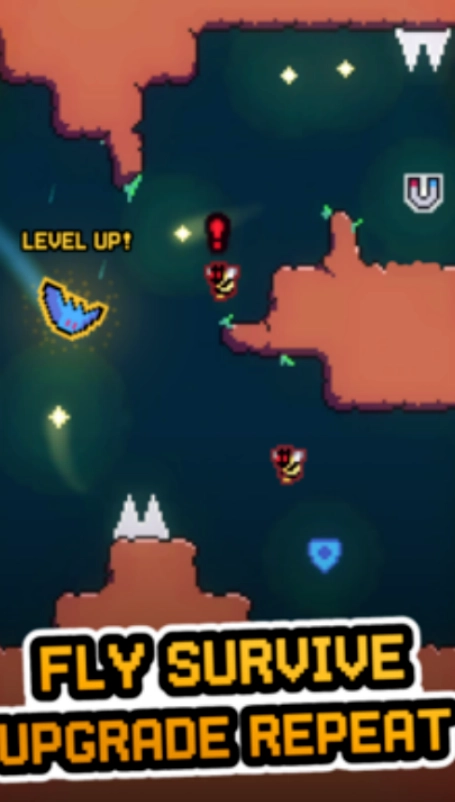 笨鸟先飞蝙蝠版(1)