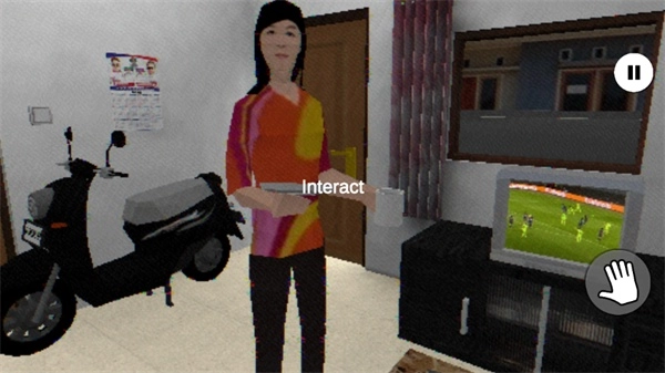 皮卡布停(汉化版