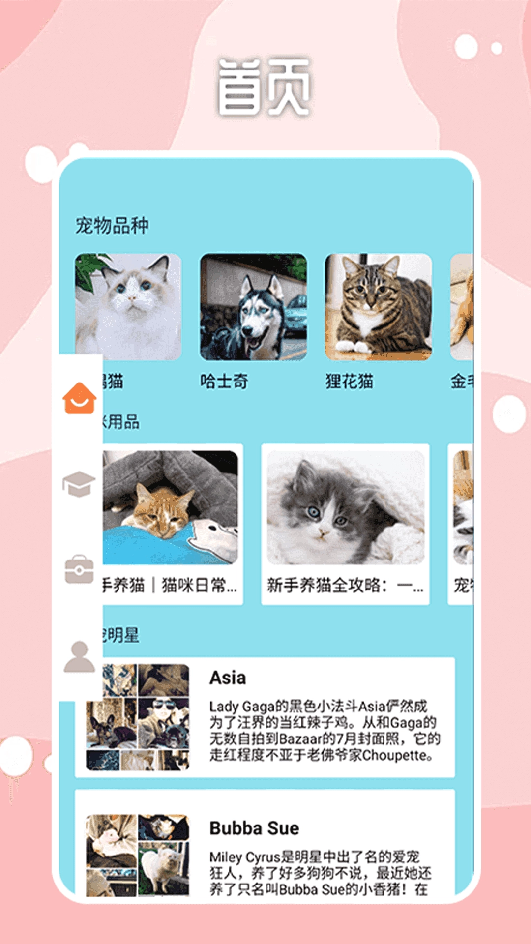 密聊猫最新版