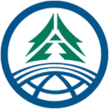 广西林控互联网平台