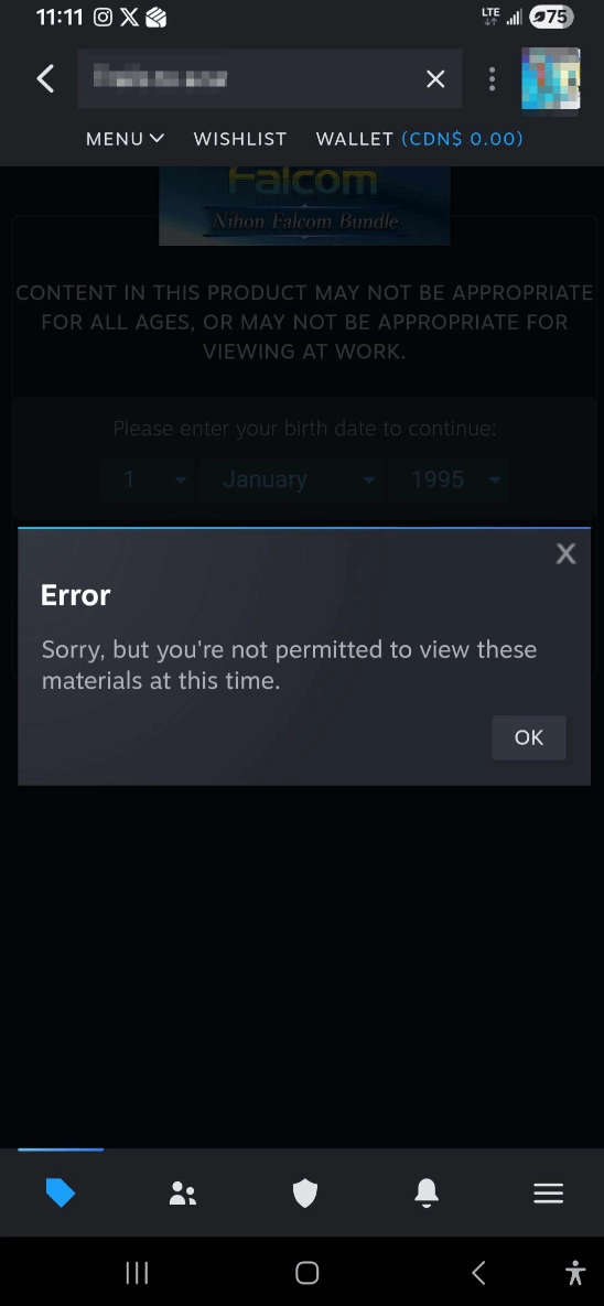 外国玩家被Steam年龄验证整到崩溃：难道得等我30岁才能玩这游戏？