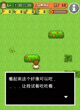 无人岛大冒险(4)