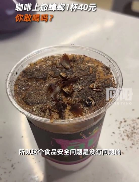 商家推出蟑螂咖啡，单杯定价40元，经确认无食品安全隐患，每日销量可达十几杯