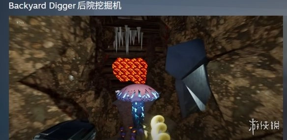 《后院挖掘者》这部作品的英文名称相关说明