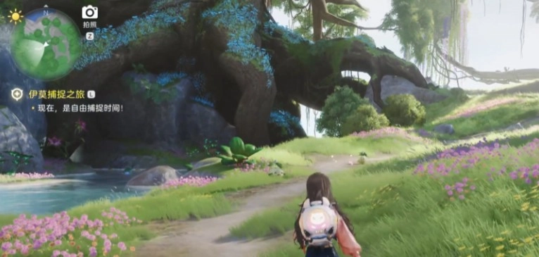 伊莫花舞兰宠物详情与获取指南