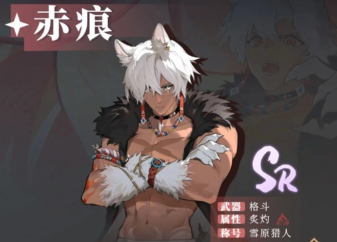 辉烬赤痕装备搭配指南