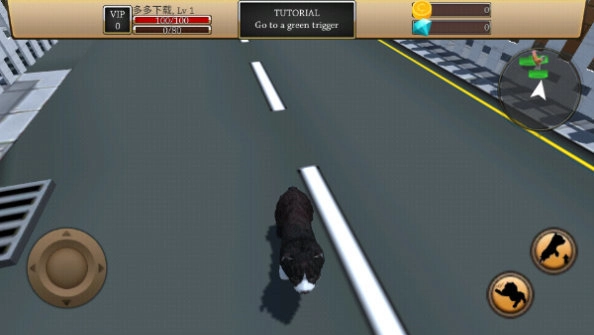 最新的ZOOM動(dòng)物馬截圖2