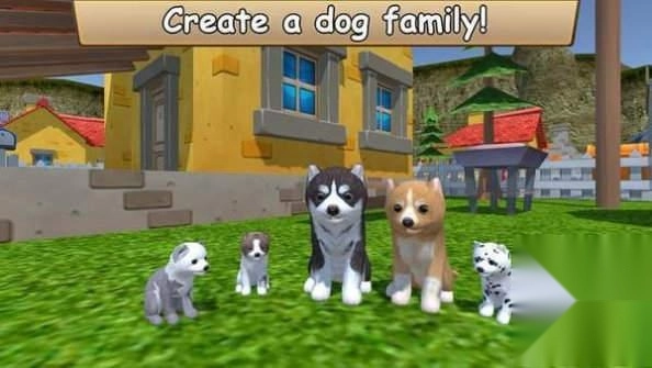 最新的ZOOM動(dòng)物馬正式版下載