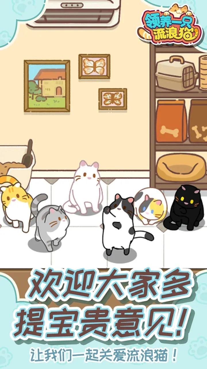 领养一只流浪猫