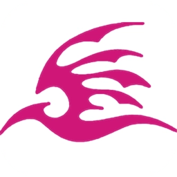 飞极速手机版V5.1