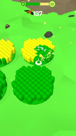 滚滚色彩大挑战