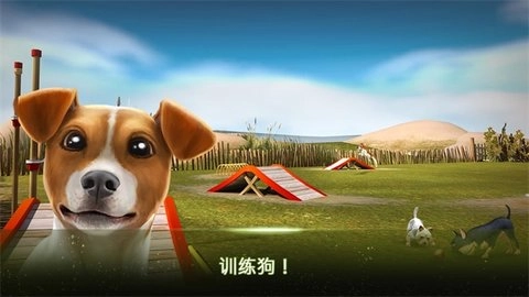 我的寄宿狗屋手机正版