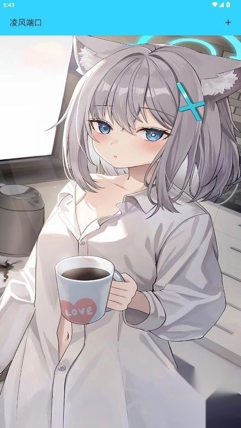 凌风端口中文版下载