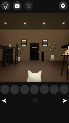 逃离猫咪酒吧(2)