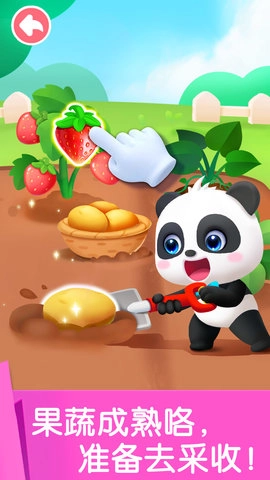 宝宝劳动小能手4