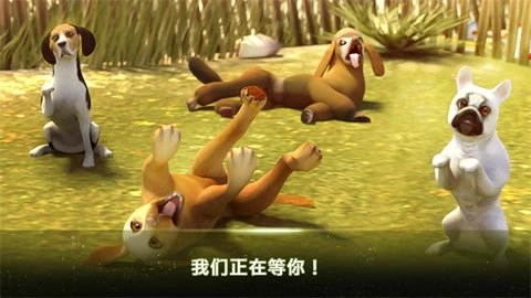 我的寄宿狗屋手机正版