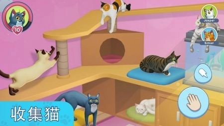 我的宠物猫模拟器图1