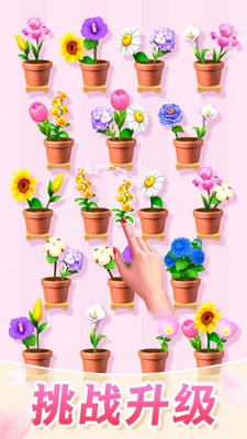 插花消除免广告版图2