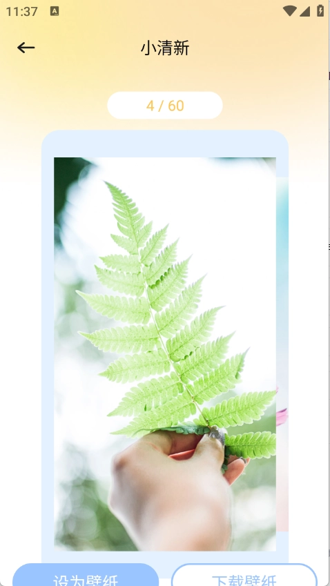 壁纸秀秀鸭截图2