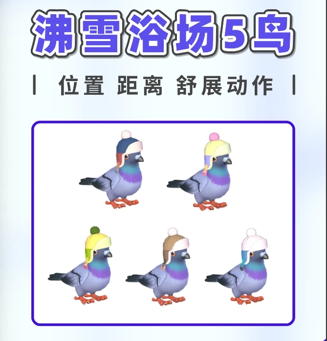 心动小镇沸雪浴场戴帽欧鸽收集攻略